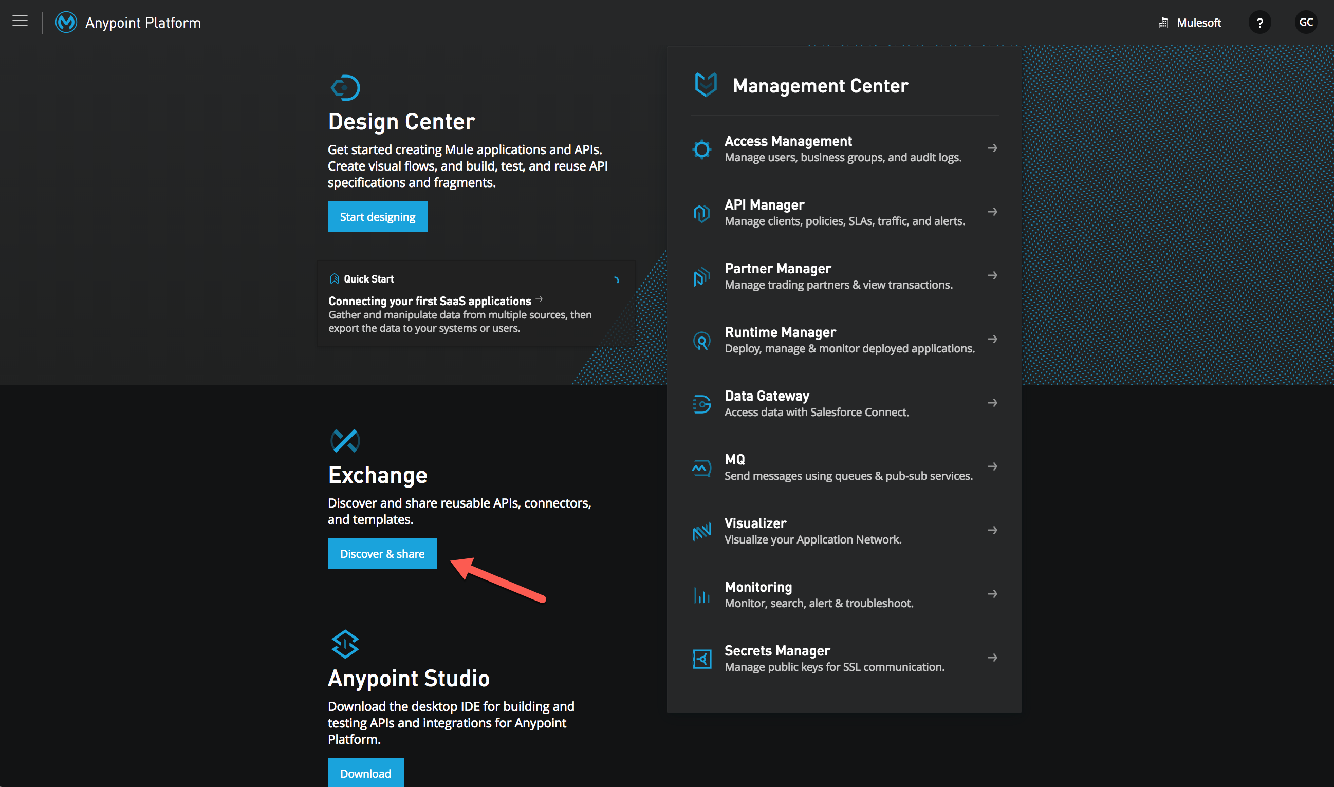 API Manager Icon