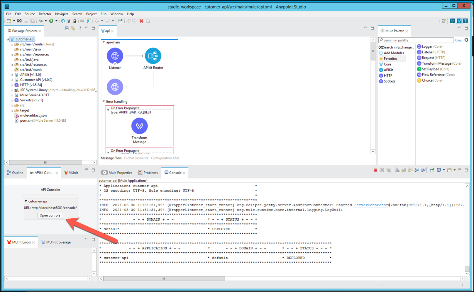 module3 lab1 api console