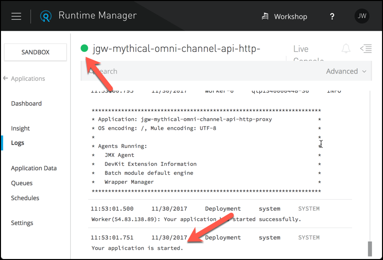 module 5 lab 5 ap runtimemanager endpointdeploylogs