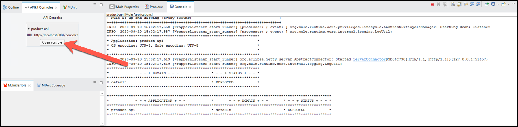 module8 lab1 api console